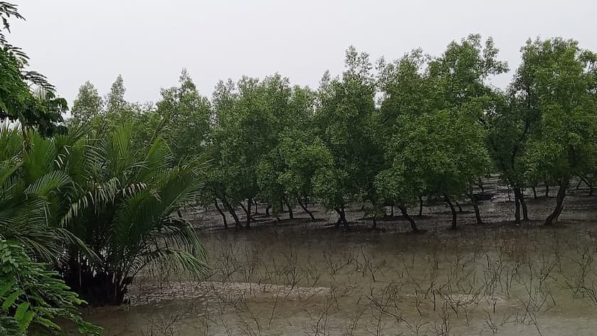 কয়রায় বন্ধন তরুণ সংঘের বিরুদ্ধে সরকারি চর বিক্রির অভিযোগ