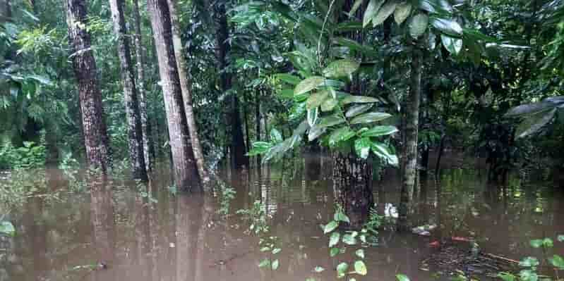 নিম্নাঞ্চল প্লাবিত