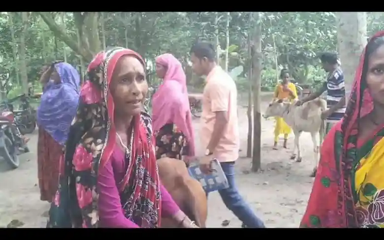 সাইফুল ইসলাম,ঝিনাইদহ : মহেশপুরে ক্ষুদ্র নৃ-গোষ্ঠী,পরিবারের স্বাবলম্বীকরণ ও জীবন মান উন্নয়নের লক্ষে আরডিসির সংস্থার উদ্দ্যোগে বিনামূল্যে গরু বিতরণ করা হয়। বুধবার সকালে মহেশপুর উপজেলার ২ নং ফতেপুর ইউনিয়নে কৃষ্ণচন্দপুর ক্ষুদ্র নৃ-গোষ্ঠী পাড়ায় এ গরু বিতরণ অনুষ্ঠান অনুষ্ঠিত হয়। মানবাধিকার সংগঠন আরডিসির নির্বাহী প্রধান আব্দুর রহমানের সভাপতিত্বে গরু বিতরণ অনুষ্ঠানে প্রধান অতিথির বক্তব্য রাখেন,উপজেলা নির্বাহী অফিসার নয়ন কুমার রাজবংশী এবং বিশেষ অতিথি হিসেবে বক্তব্য রাখেন ফতেপুর ইউপি চেয়ারম্যান গোলাম হায়দার লান্টু, সাবেক চেয়ারম্যান সিরাজুল ইসলাম সিরাজ। অন্যান্যের মধ্যে বক্তব্য রাখেন, পেনেল চেয়ারম্যান আসাদুল ইসলাম ,গাজীরননেছা বালিকা বিদ্যালয়ের প্রধান শিক্ষক আবুল কালাম আজাদ ,ইউপি সদস্য মিজানুর রহমান, এমএ আসাদ এবং উপকারভোগীদের মধ্যে বক্তব্য রাখেন জয় বাবু প্রমুখ। সঞ্চলনায় করেন আরডিসির প্রোগ্রাম সুপার ভাইজার মোঃ ওসমান গণি। উল্লেখ্য,বাংলাদেশ এনজিও ফাউন্ডেশনের অর্থায়নে ও আরডিসি সংস্থার বাস্তবায়নে উপজেলার ফতেপুর ইউনিয়নে ৭ জন দরিদ্র ক্ষুদ্র নৃ-গোষ্ঠী পরিবারের মাঝে বিনামূল্যে এই গরু বিতরণ করা হয়।