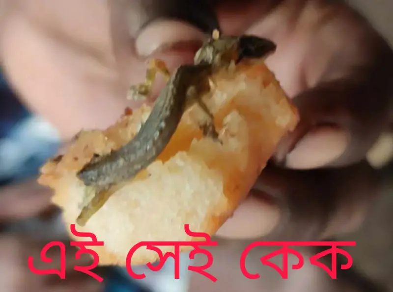 কেকের ভিতর টিকটিকি