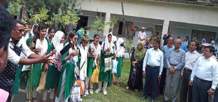 পাইকগাছার সড়কে তালের বীজ ও গাছের চারা রোপন