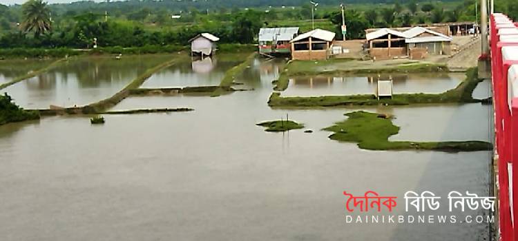 ডুমুরিয়ার নদীর পানি বৃদ্ধির লীজঘের ও ফসলি জমির ধান পানির নিচে