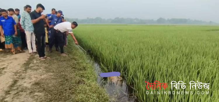 বেনাপোলে চালককে জবাই করে ইজিবাইক ছিনতাই