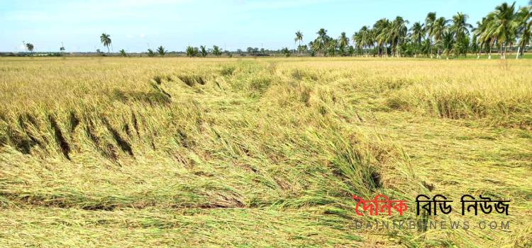 পাইকগাছায় ঘূর্ণিঝড়