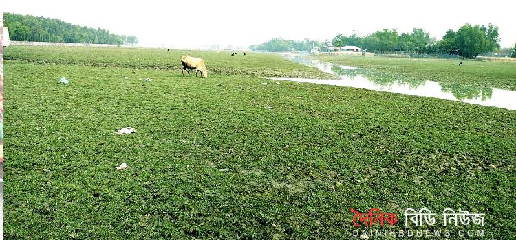 খরস্রোতা শিবসা