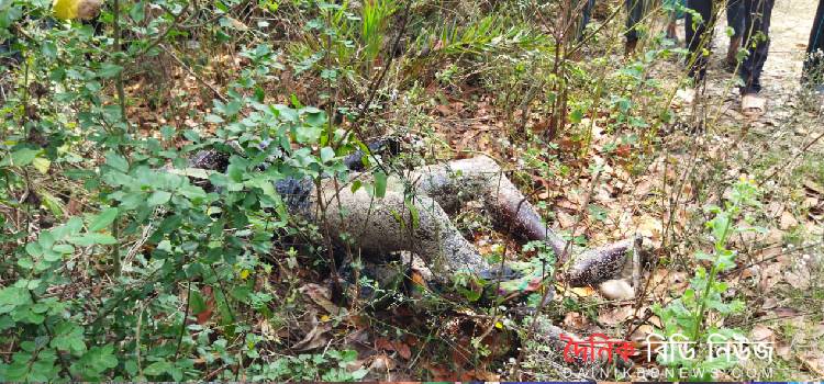 আমিনুরের লাশ উদ্ধার