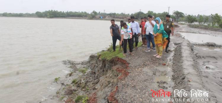 ghurnijor danay pakgachay pani briddhi o beribadh khotigrostho