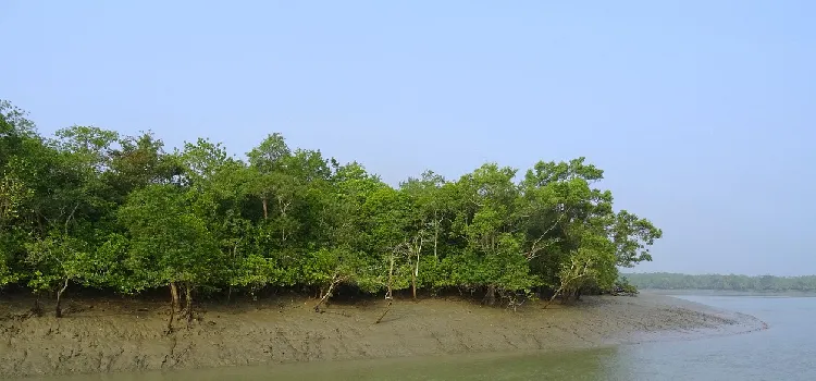 Sundarbon photo