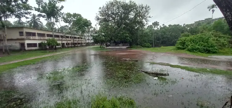 ektana bristyte upokoliyo jonojibone biporjosto