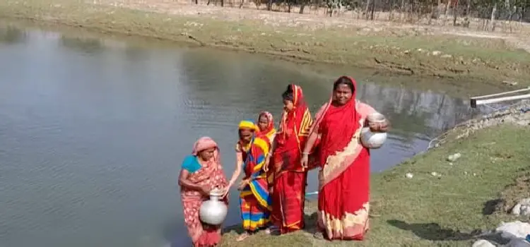 paikgachay-supeyo-panir-chorom-sonkot