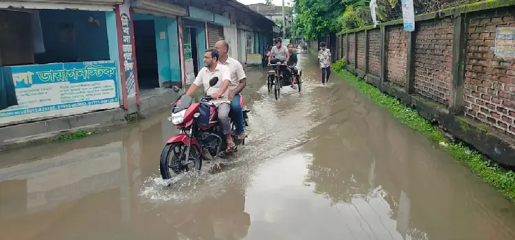 motso amon bijtola o krishi fosoler bepok khoykhoti hoyeche