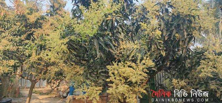 am mukul bataiaghata