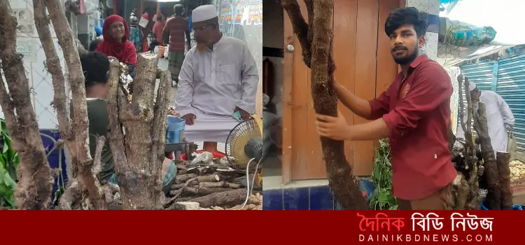 paikgachay chahida bereche chuijhaler