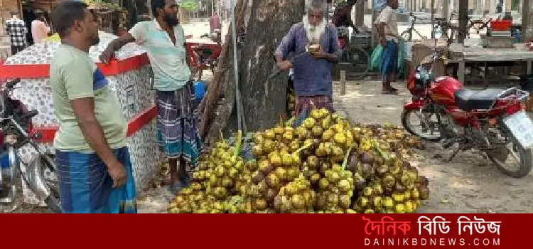 paikgachay gorome taler saser chahida briddhi