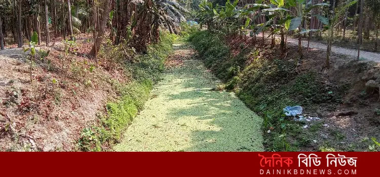 muloshri gramer khal kochuripanay vorat