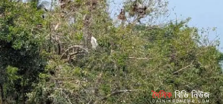 paikgachar hariya abadd